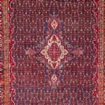 1055 9099 ORIENTAL RUG